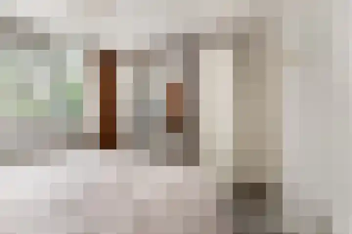 Professor Hugo de Vriesstraat 13 Zaandam thumbnail 12