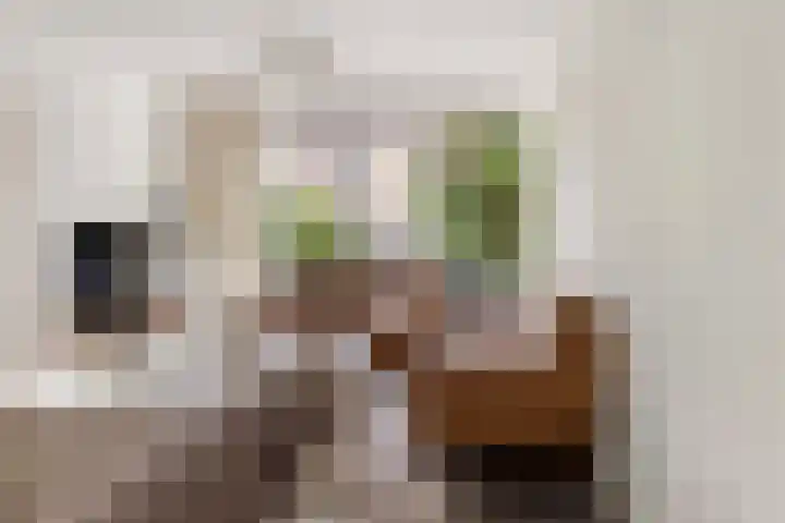 Professor Hugo de Vriesstraat 13 Zaandam thumbnail 4