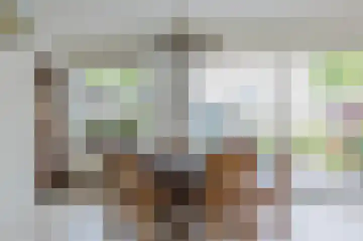 Professor Hugo de Vriesstraat 2 Zaandam thumbnail 10