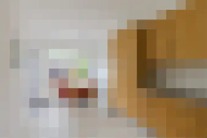 Professor Hugo de Vriesstraat 2 Zaandam thumbnail 11