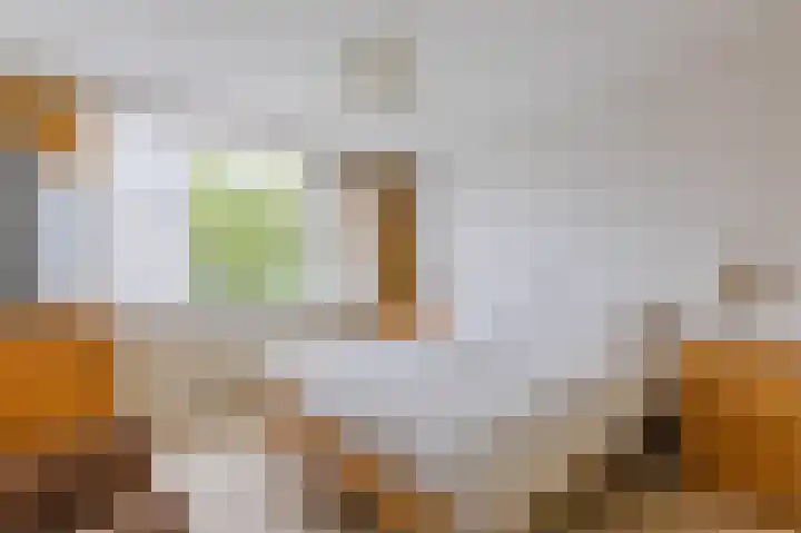 Professor Hugo de Vriesstraat 2 Zaandam thumbnail 17