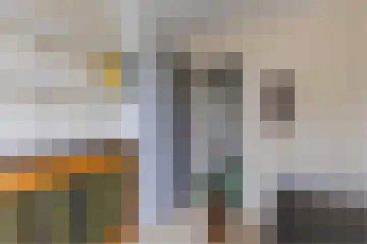Professor Hugo de Vriesstraat 2 Zaandam thumbnail 20