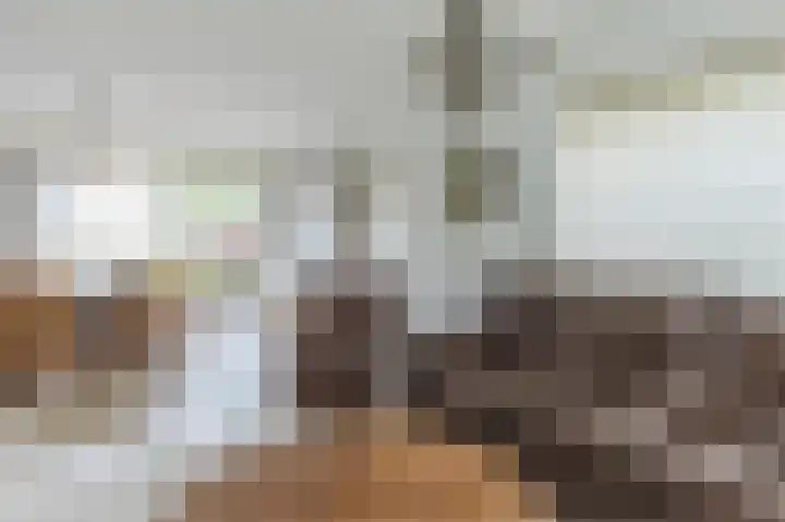 Professor Hugo de Vriesstraat 2 Zaandam thumbnail 7