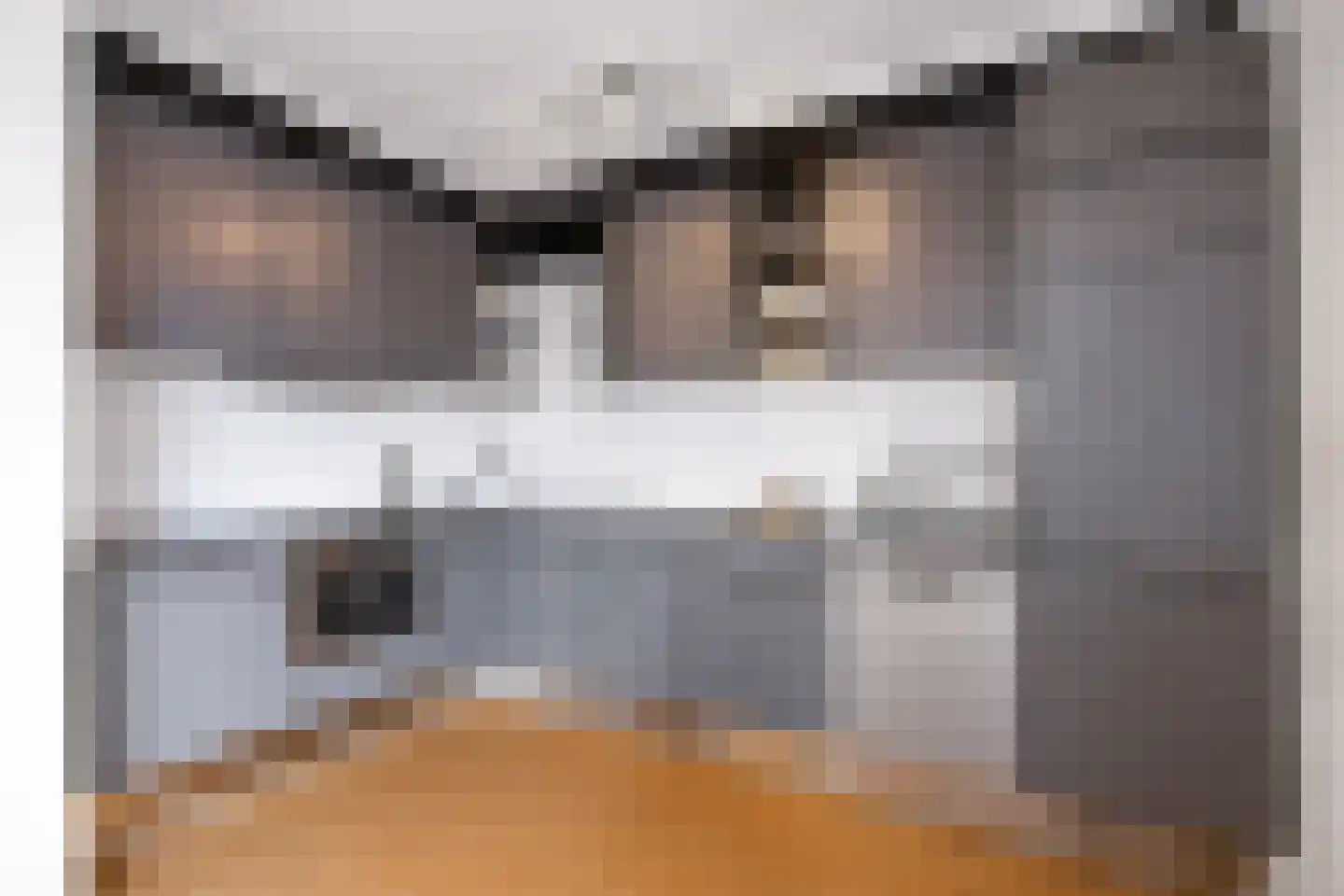 Professor J Greidanusstraat 19 Franeker thumbnail 4
