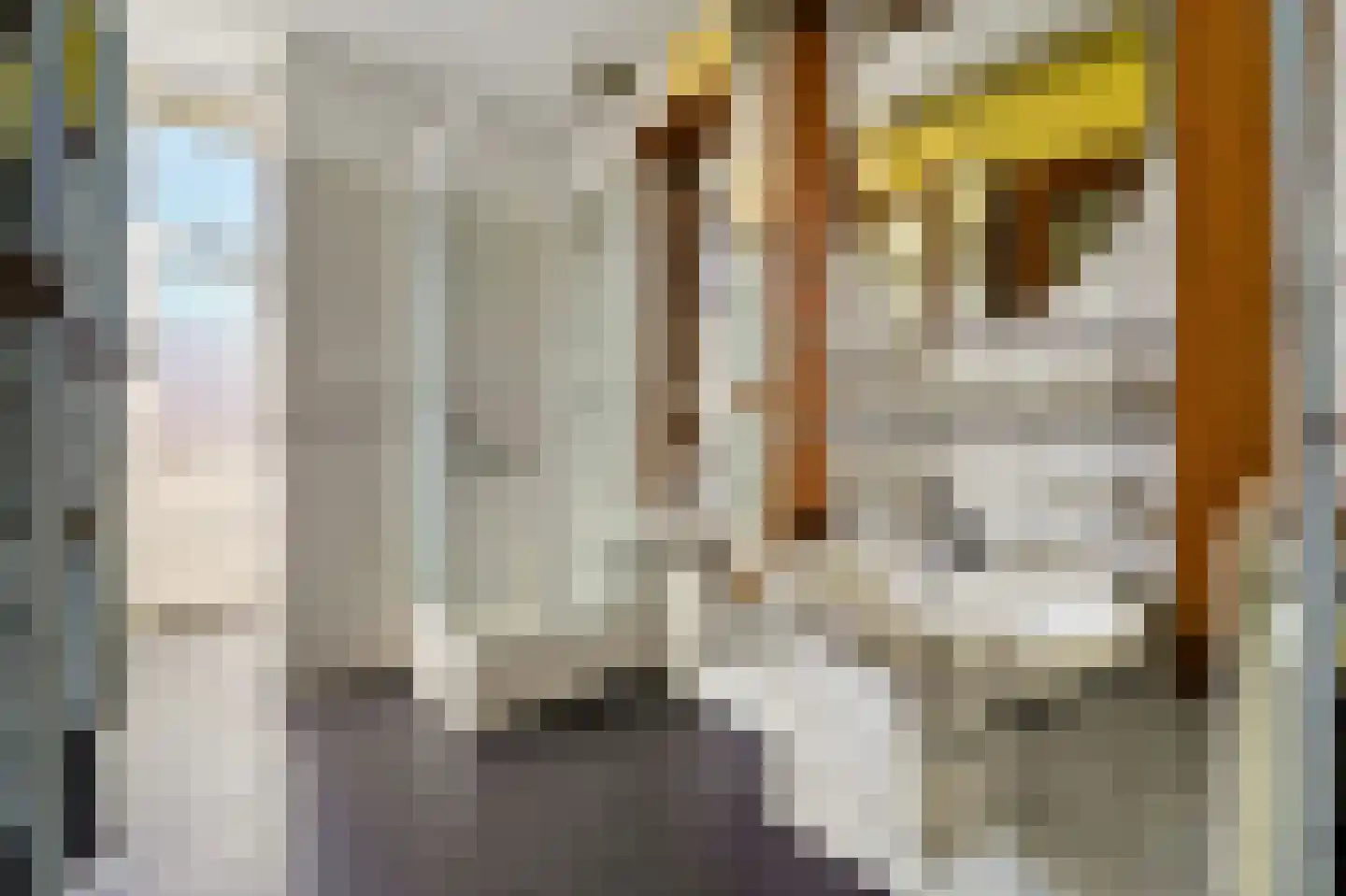 Professor Kaiserstraat 14 Den Haag thumbnail 33
