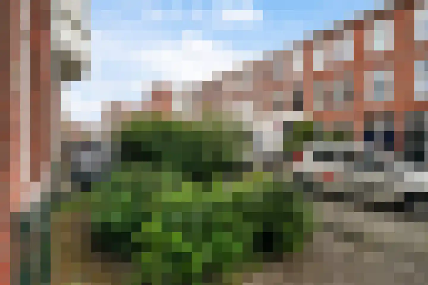 Professor Kaiserstraat 38 Den Haag thumbnail 9