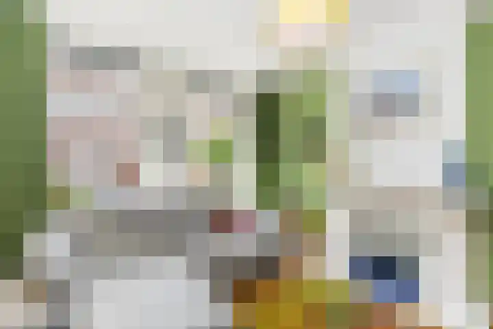 Professor Kamerlingh Onneslaan 110 B Schiedam thumbnail 12