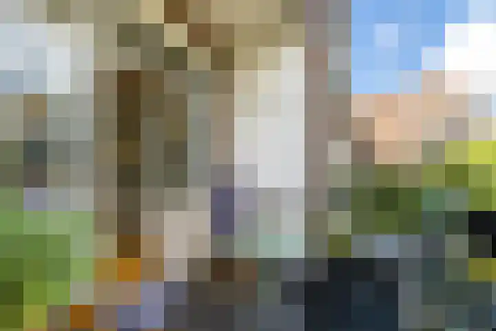 Professor Kamerlingh Onneslaan 110 B Schiedam thumbnail 16