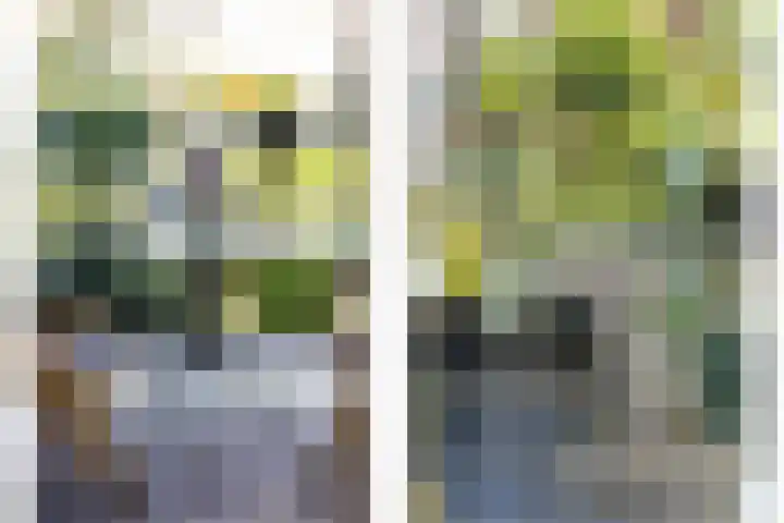 Professor Kamerlingh Onneslaan 110 B Schiedam thumbnail 17