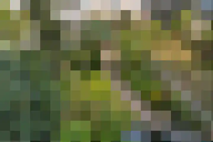 Professor Kamerlingh Onneslaan 110 B Schiedam thumbnail 18