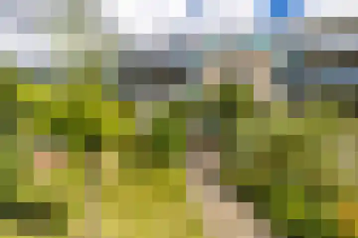Professor Kamerlingh Onneslaan 110 B Schiedam thumbnail 19