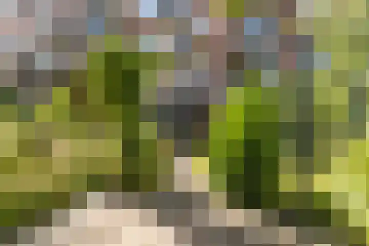Professor Kamerlingh Onneslaan 110 B Schiedam thumbnail 20