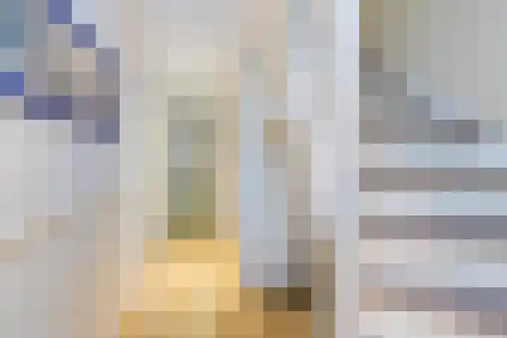 Professor Kamerlingh Onneslaan 110 B Schiedam thumbnail 23