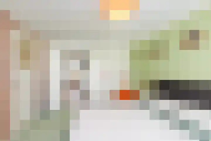 Professor Kamerlingh Onneslaan 110 B Schiedam thumbnail 25