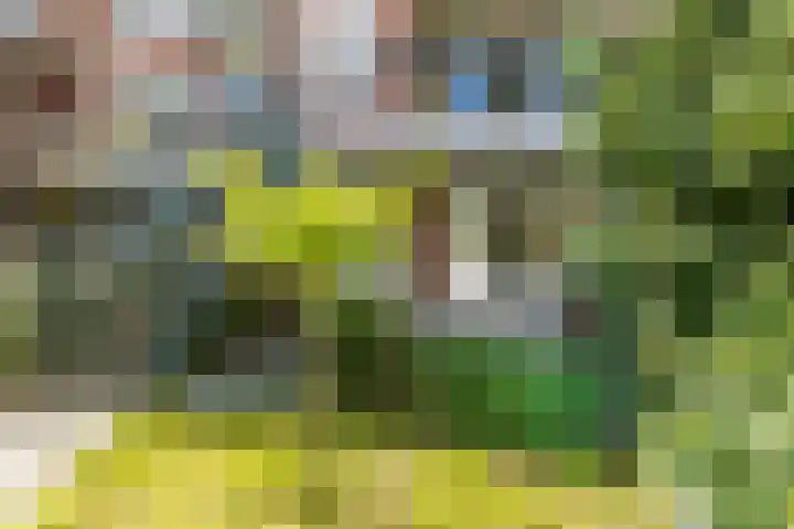 Professor Kamerlingh Onneslaan 110 B Schiedam thumbnail 4