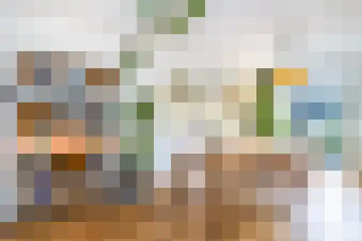 Professor Kamerlingh Onneslaan 110 B Schiedam thumbnail 9