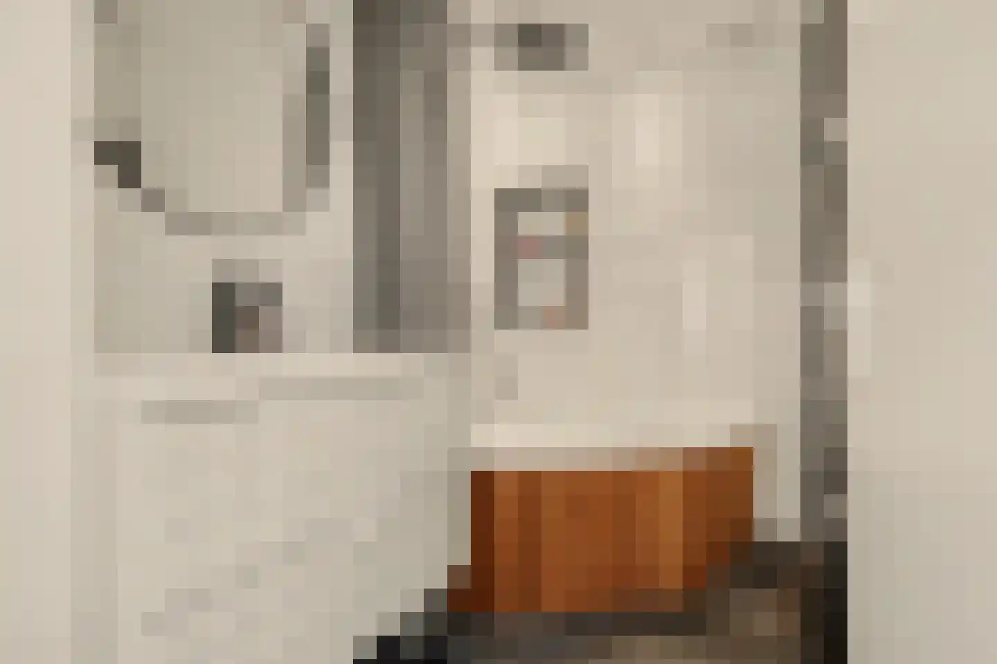 Professor Kamerlingh Onneslaan 113 B 1 Schiedam thumbnail 13