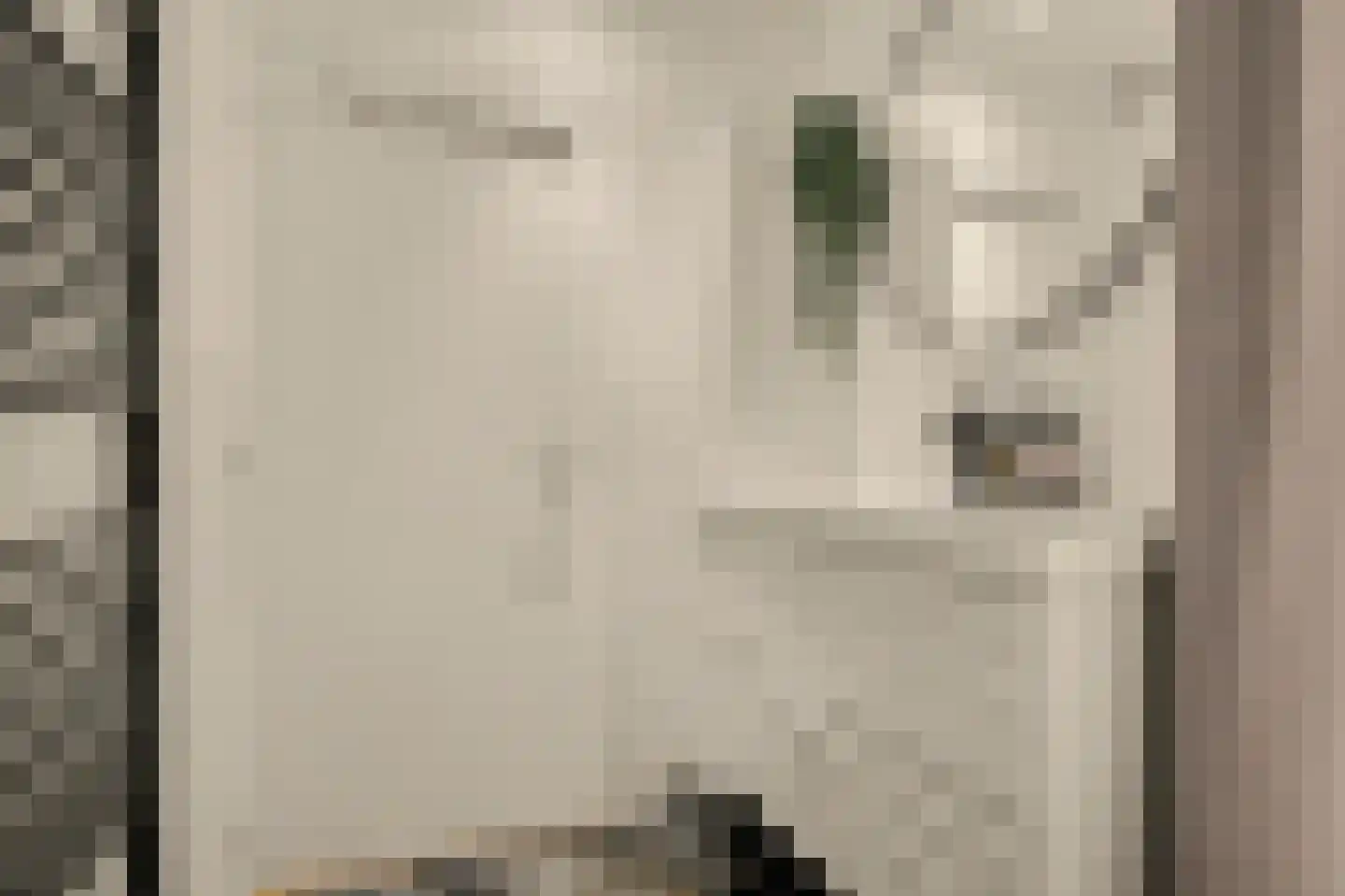 Professor Kamerlingh Onneslaan 113 B 1 Schiedam thumbnail 14