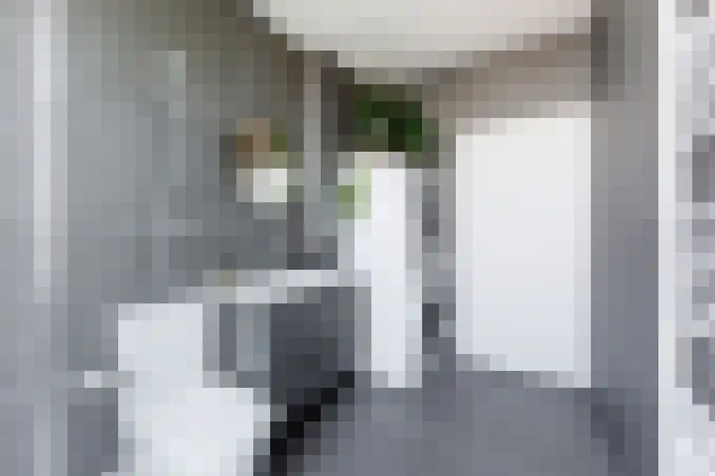 Professor Kamerlingh Onneslaan 113 B 1 Schiedam thumbnail 21
