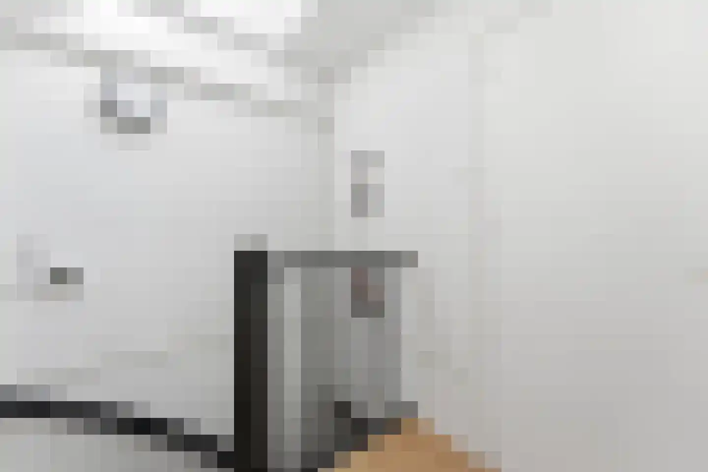 Professor Kamerlingh Onneslaan 113 B 1 Schiedam thumbnail 24