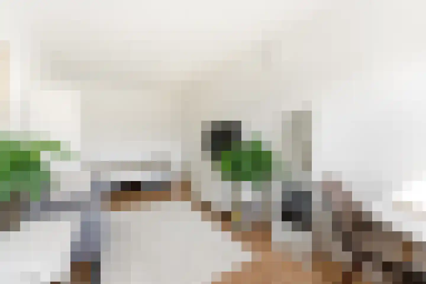 Professor Kamerlingh Onneslaan 113 B 1 Schiedam thumbnail 28