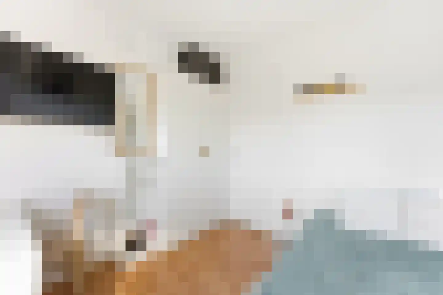 Professor Kamerlingh Onneslaan 113 B 1 Schiedam thumbnail 31