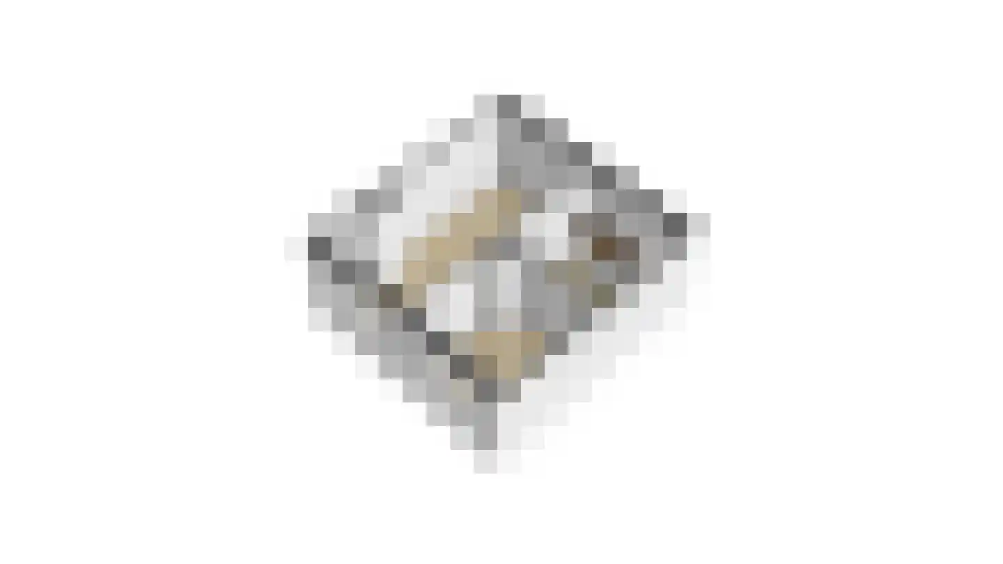 Professor Kamerlingh Onneslaan 113 B 1 Schiedam thumbnail 40