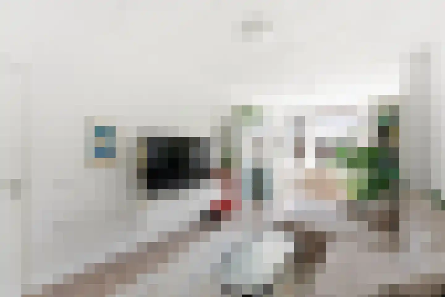 Professor Kamerlingh Onneslaan 113 B 1 Schiedam thumbnail 5