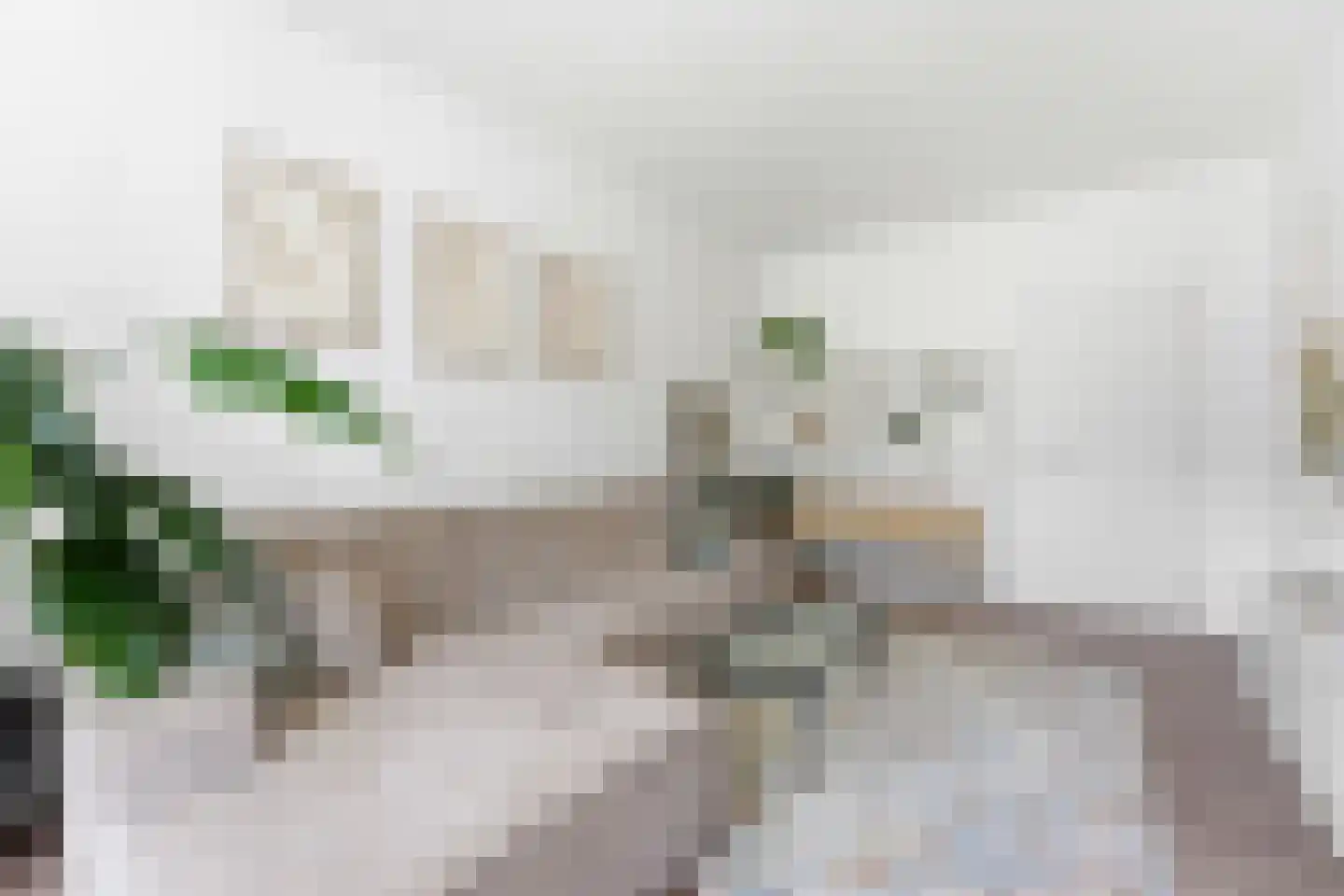 Professor Kamerlingh Onneslaan 113 B 1 Schiedam thumbnail 8