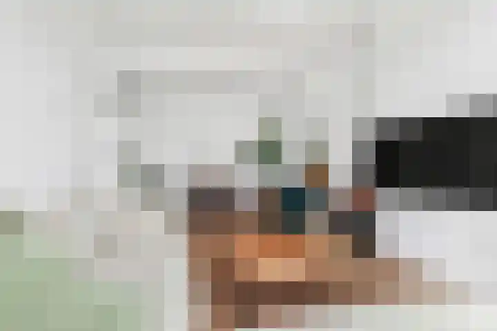 Professor Kamerlingh Onneslaan 114 B 2 Schiedam thumbnail 11