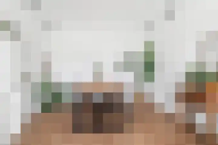Professor Kamerlingh Onneslaan 114 B 2 Schiedam thumbnail 13