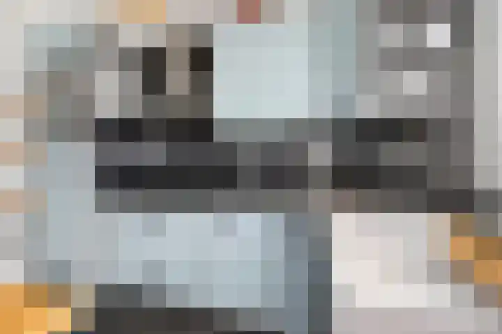 Professor Kamerlingh Onneslaan 114 B 2 Schiedam thumbnail 17