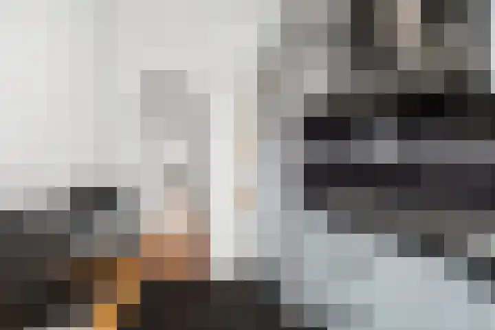 Professor Kamerlingh Onneslaan 114 B 2 Schiedam thumbnail 18