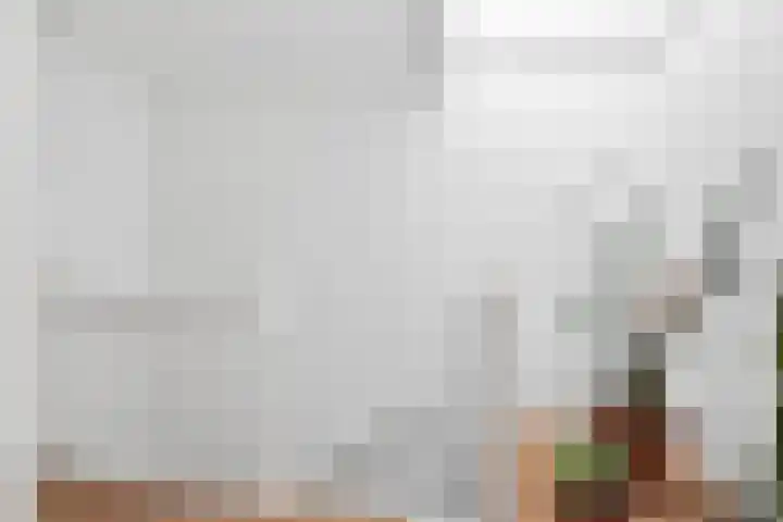 Professor Kamerlingh Onneslaan 114 B 2 Schiedam thumbnail 23