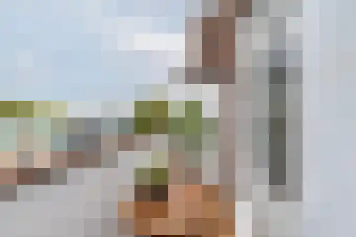 Professor Kamerlingh Onneslaan 114 B 2 Schiedam thumbnail 33