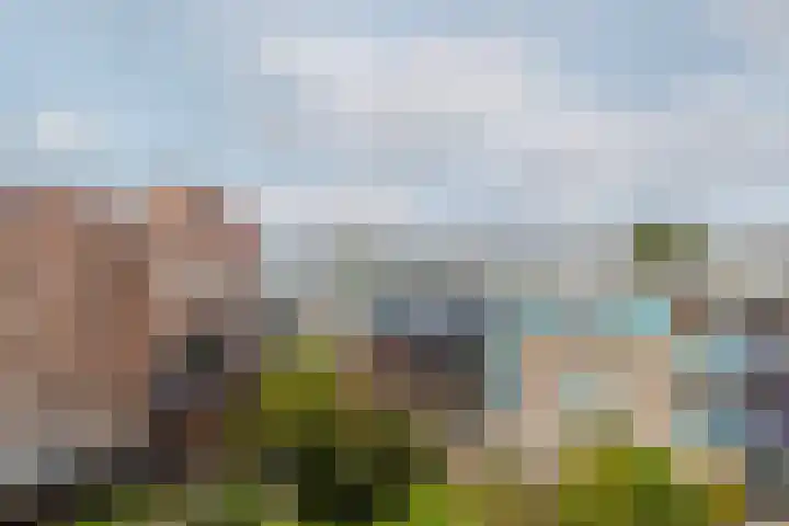 Professor Kamerlingh Onneslaan 114 B 2 Schiedam thumbnail 35