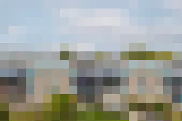 Professor Kamerlingh Onneslaan 114 B 2 Schiedam thumbnail 36