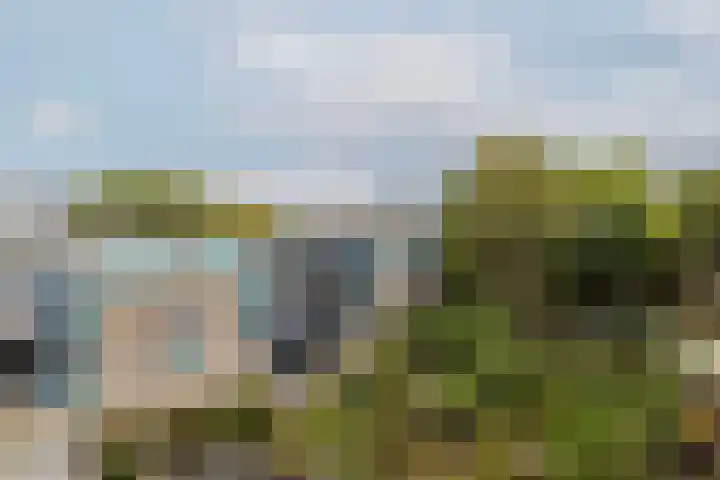 Professor Kamerlingh Onneslaan 114 B 2 Schiedam thumbnail 37