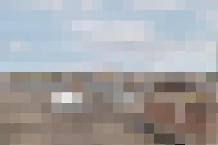 Professor Kamerlingh Onneslaan 114 B 2 Schiedam thumbnail 38