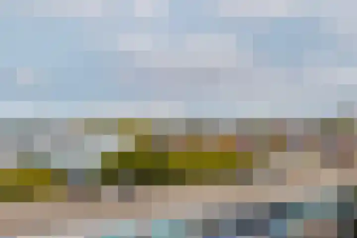 Professor Kamerlingh Onneslaan 114 B 2 Schiedam thumbnail 39