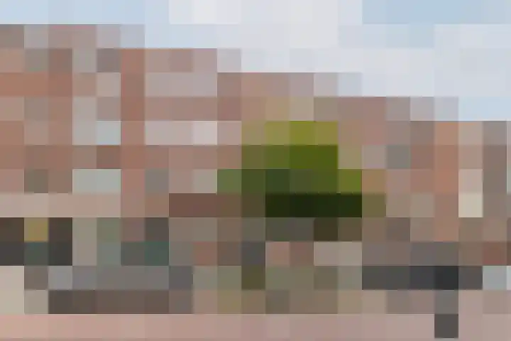 Professor Kamerlingh Onneslaan 114 B 2 Schiedam thumbnail 45