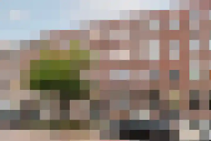 Professor Kamerlingh Onneslaan 114 B 2 Schiedam thumbnail 46