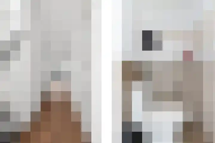 Professor Kamerlingh Onneslaan 114 B 2 Schiedam thumbnail 7
