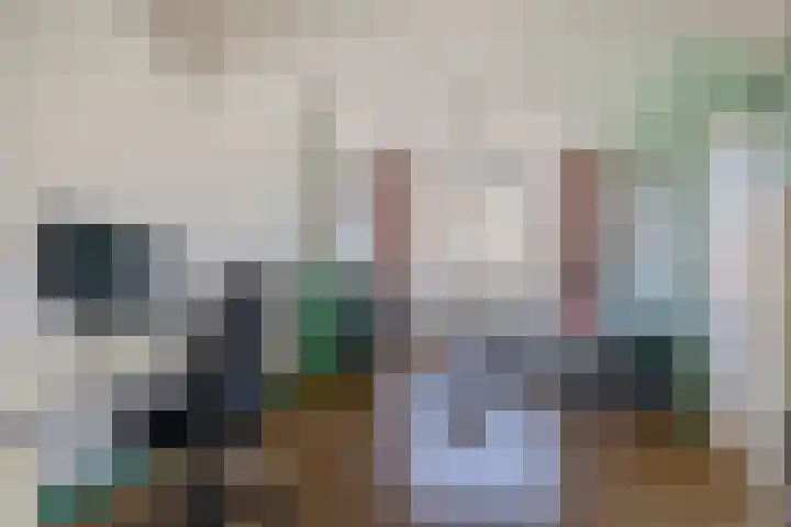Professor Kamerlingh Onneslaan 119 A 1 Schiedam thumbnail 17
