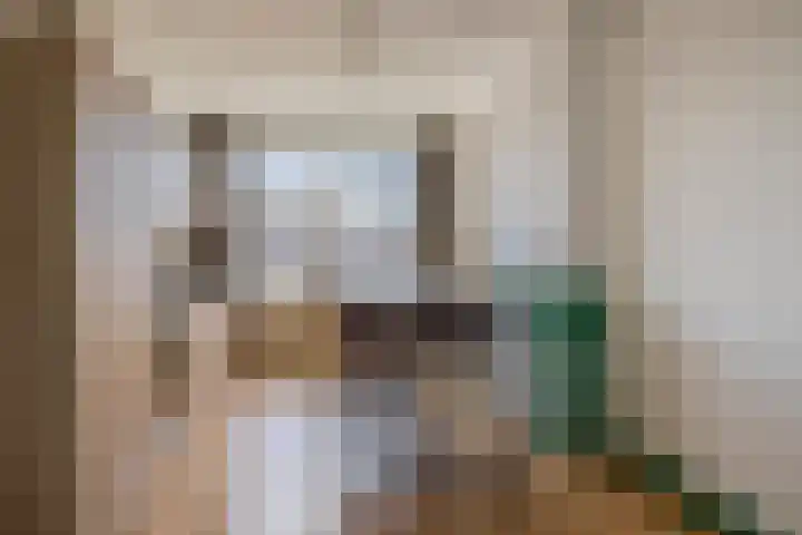 Professor Kamerlingh Onneslaan 119 A 1 Schiedam thumbnail 18