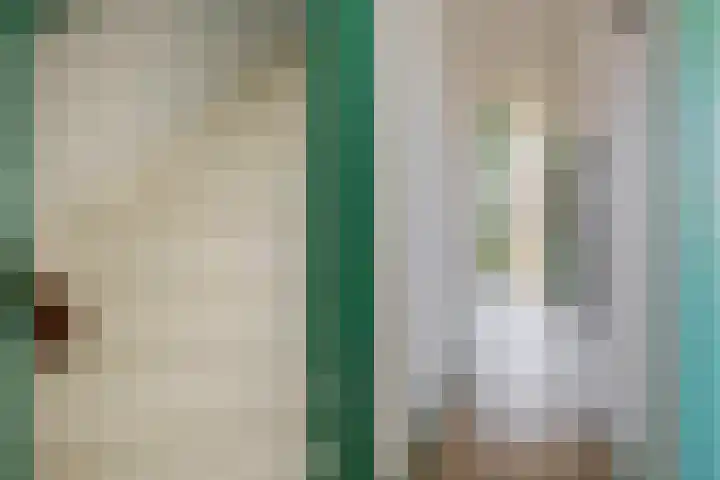 Professor Kamerlingh Onneslaan 119 A 1 Schiedam thumbnail 9