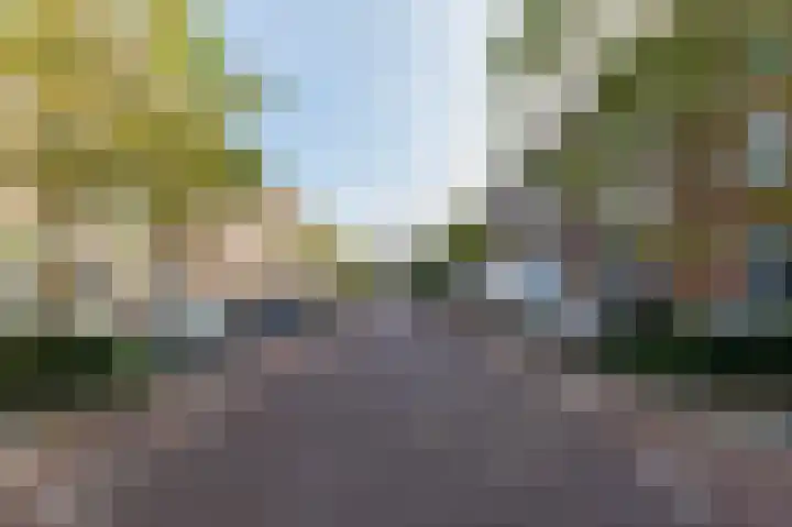 Professor Kamerlingh Onneslaan 122 A Schiedam thumbnail 5