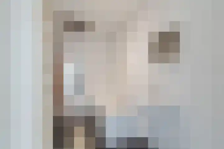 Professor Kamerlingh Onneslaan 129 A Schiedam thumbnail 18