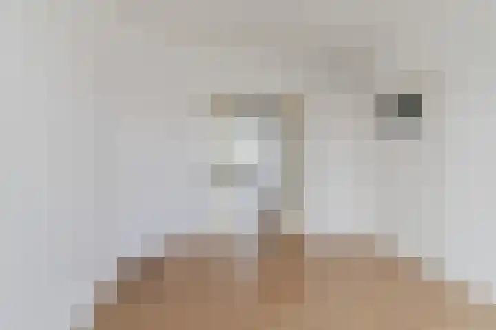 Professor Kamerlingh Onneslaan 129 A Schiedam thumbnail 4
