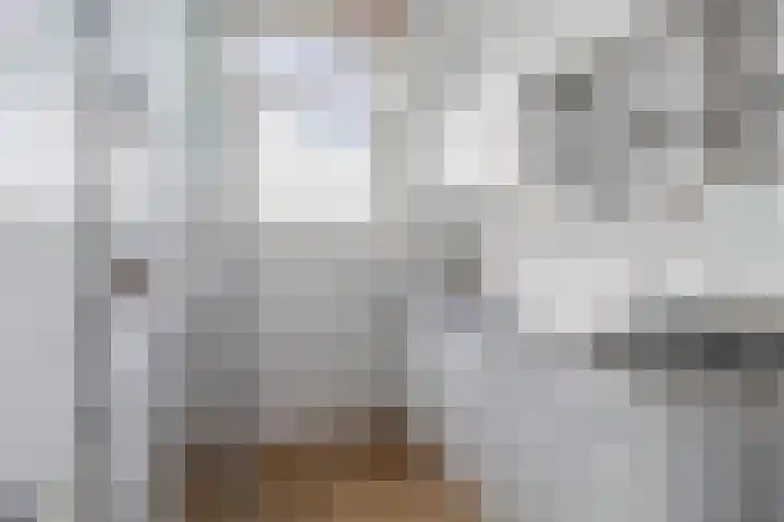 Professor Kamerlingh Onneslaan 129 A Schiedam thumbnail 7